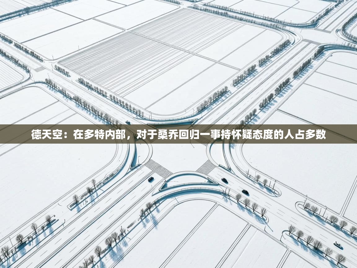 德天空：在多特内部，对于桑乔回归一事持怀疑态度的人占多数