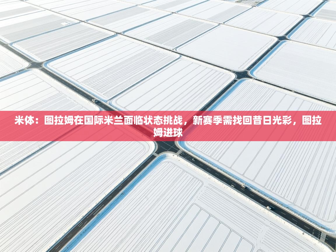 米体：图拉姆在国际米兰面临状态挑战，新赛季需找回昔日光彩，图拉姆进球