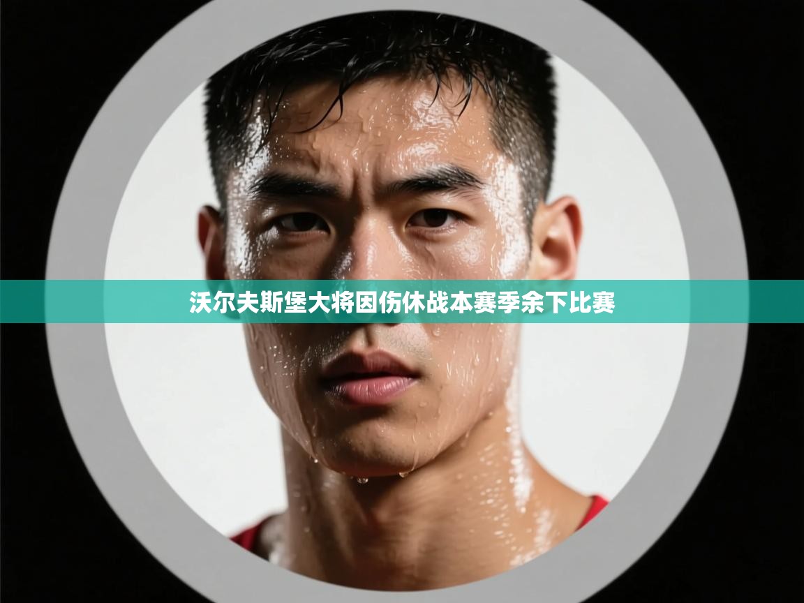 沃尔夫斯堡大将因伤休战本赛季余下比赛